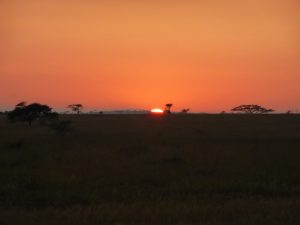 Hello orange Serengeti sunrise. 