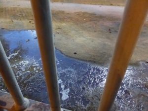 Rio Carnaval Party Time: Rio de Janeiro