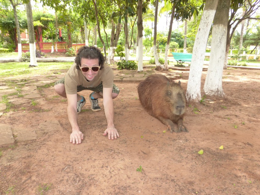 The largest rodent in the world.  Villarrica, Paraguay