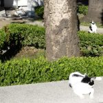Buenos Aires La Recoleta Cemetery