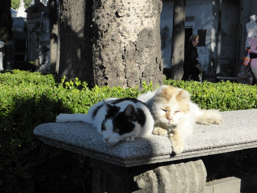 Recolete Cemetery.  Buenos Aires, Argentina.