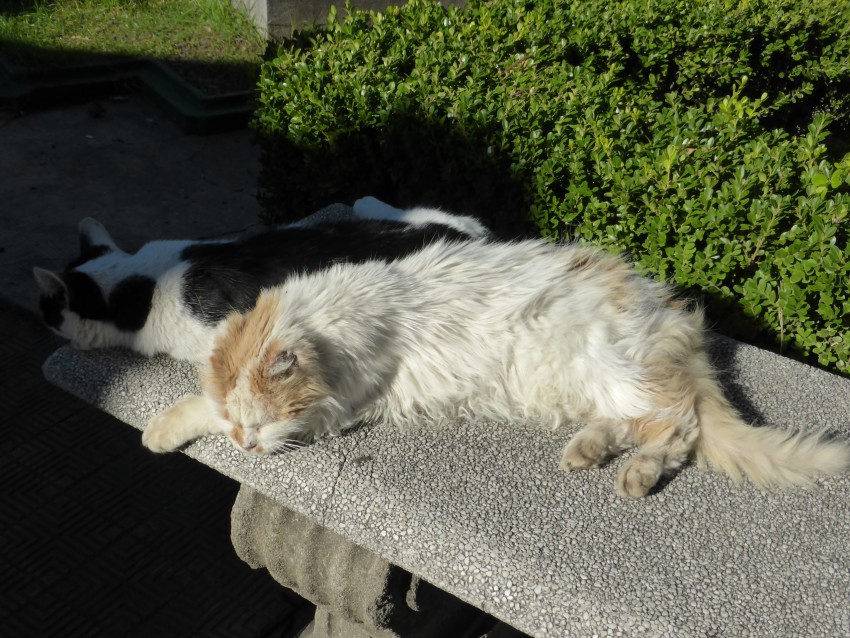Recolete Cemetery.  Buenos Aires, Argentina.