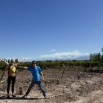 Maipú Mendoza Wine Bicycle Vineyard Hop