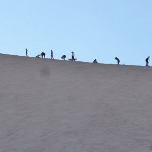 San Pedro de Atacama Snowboarding a Sand Dune