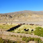 Potosi Mine and Removing Desert Grime