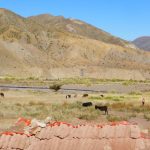 Potosi Mine and Removing Desert Grime