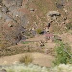 Tinku Festival in Macha, Bolivia