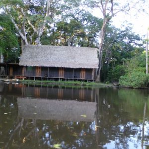 The Pampas: Amazon