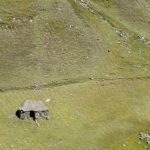 Cusco to Aguas Calientes: Machu Picchu