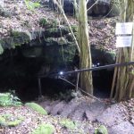 Puerto Ayora, Galapagos: The Lion Thief