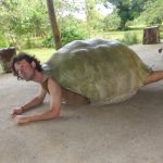 Puerto Ayora, Galapagos: The Lion Thief