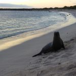 Isla San Cristóbal: How Galapagos were Created