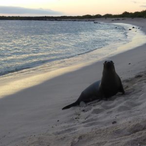 Isla San Cristóbal: How Galapagos were Created