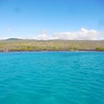 Isla San Cristóbal, Galapagos – Swimming with Sharks