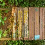 San Cipraino to Bogota: Jungle Waterfalls and the Appalling French