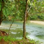 San Cipraino to Bogota: Jungle Waterfalls and the Appalling French