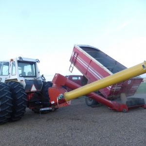 Auger for moving the harvested crop.