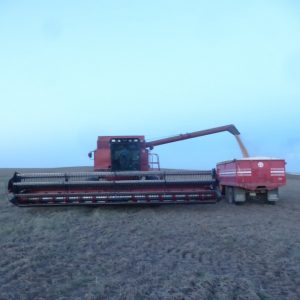 Case IH 1680 harvester.