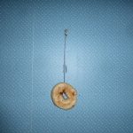 Regina: Road Tripping with Two of My Favorite Allies...