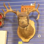 Regina: Checking the Oil