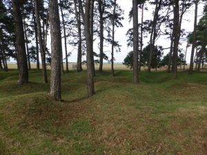 Vimy Ridge – Photos and Facts of the Battlefield