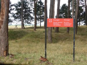 Vimy Ridge – Photos and Facts of the Battlefield
