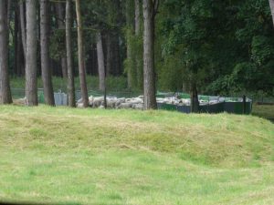 Vimy Ridge – Photos and Facts of the Battlefield