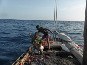 Zanzibar, Tanzania, net fishingZanzibar, Tanzania, net fishing