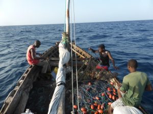 Zanzibar, Tanzania, net fishing