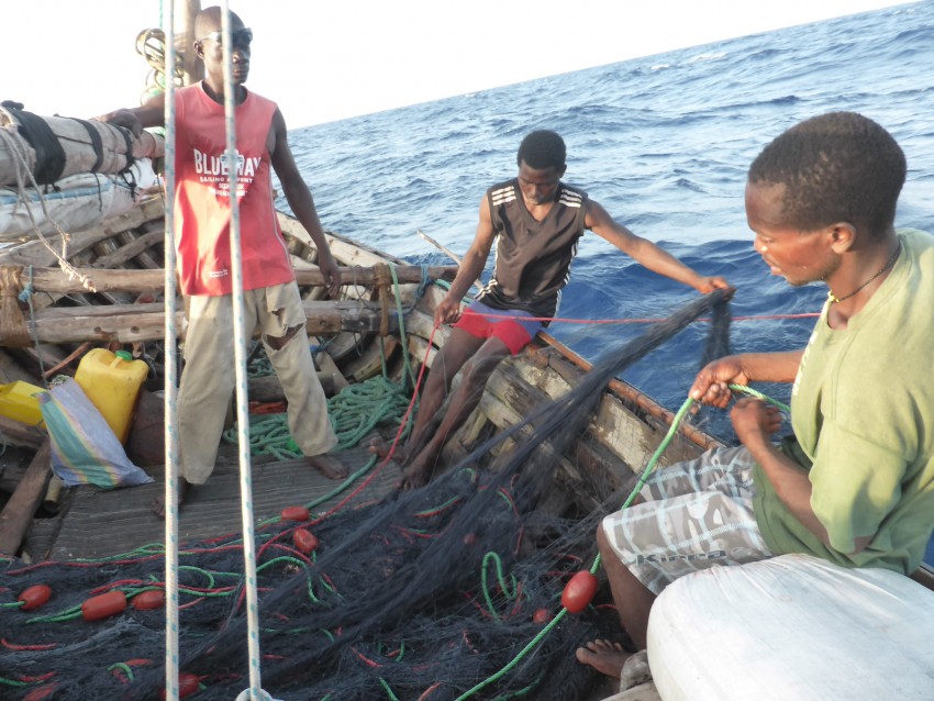 Zanzibar, Tanzania, net fishing