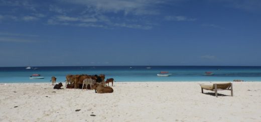 Nungwi to Kedwa Zanzibar: Long Walks on the Beach
