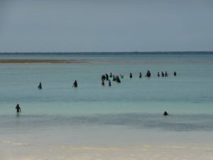Nungwi to Kedwa Zanzibar: Long Walks on the Beach