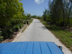 Michamvi Zanzibar - Sing the Moment In