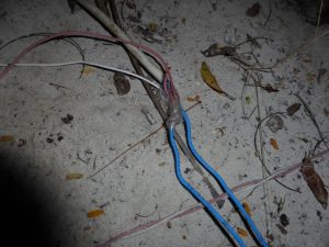 Michamvi Zanzibar: Trouble with Two Women