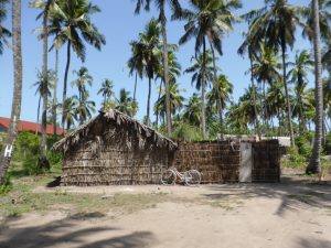 Michamvi Zanzibar: Accidentally Smooth