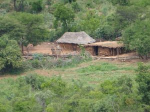 Yayeda Chini Hadza Tribe: Hunter Gatherer Money Greed