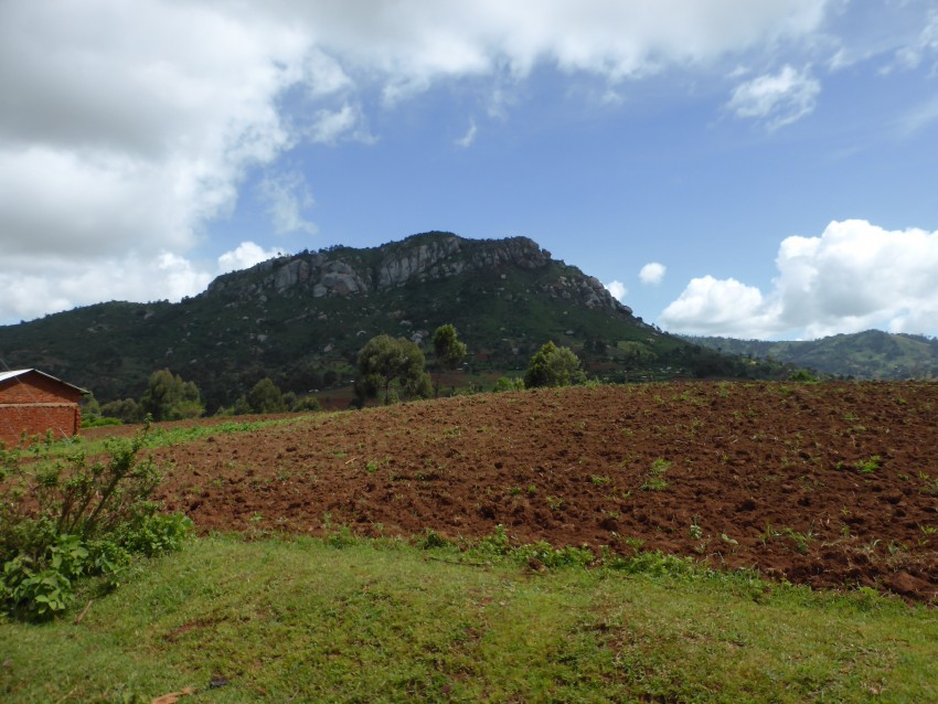 P1180080