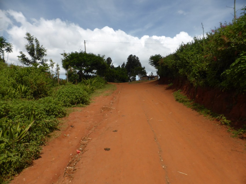 P1180083