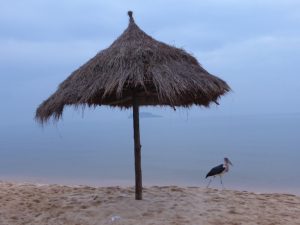 Bukoba: Beachside on Lake Victoria