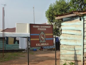Kalangala: What to not do in the Ssese Islands...Have sex…