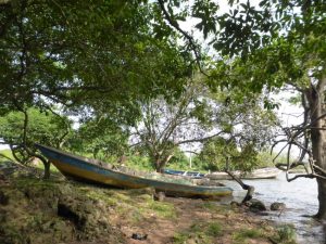 Kalangala, Buggala, Ssese Islands: Ugandan Wikipedia and Lake Victoria