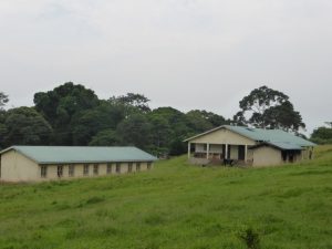 Kalangala, Ssese Islands: Performing Arts Recital