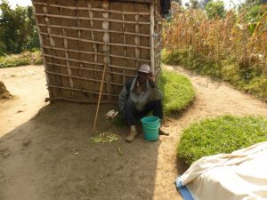 Kinigi: Drunk Diaries…Reflections on a Day After Drinking Banana Beer.