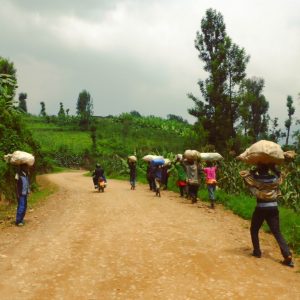Kibuye to Gisenye: Motorcycling Rwanda