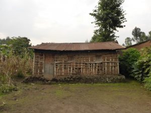 Gisenyi to Kinigi: Dian Fossey Gorilla Facts and Child Mobs