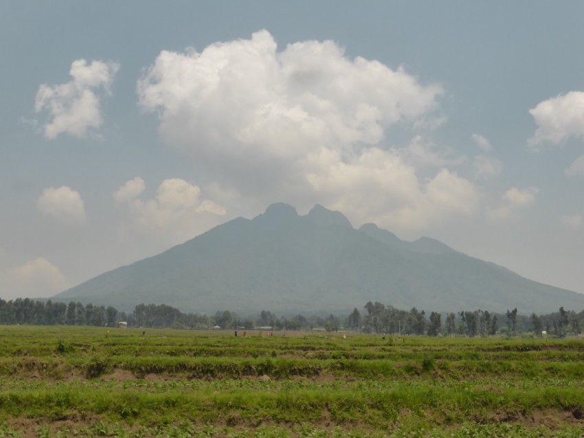 P1200517