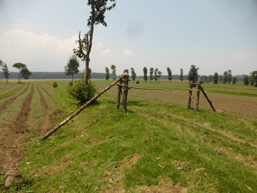 P1200524