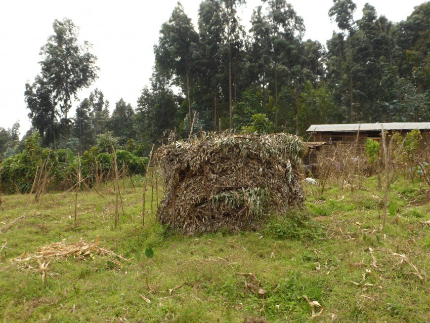 P1200525