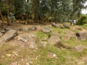 Kinigi: Drunk Diaries…Reflections on a Day After Drinking Banana Beer.