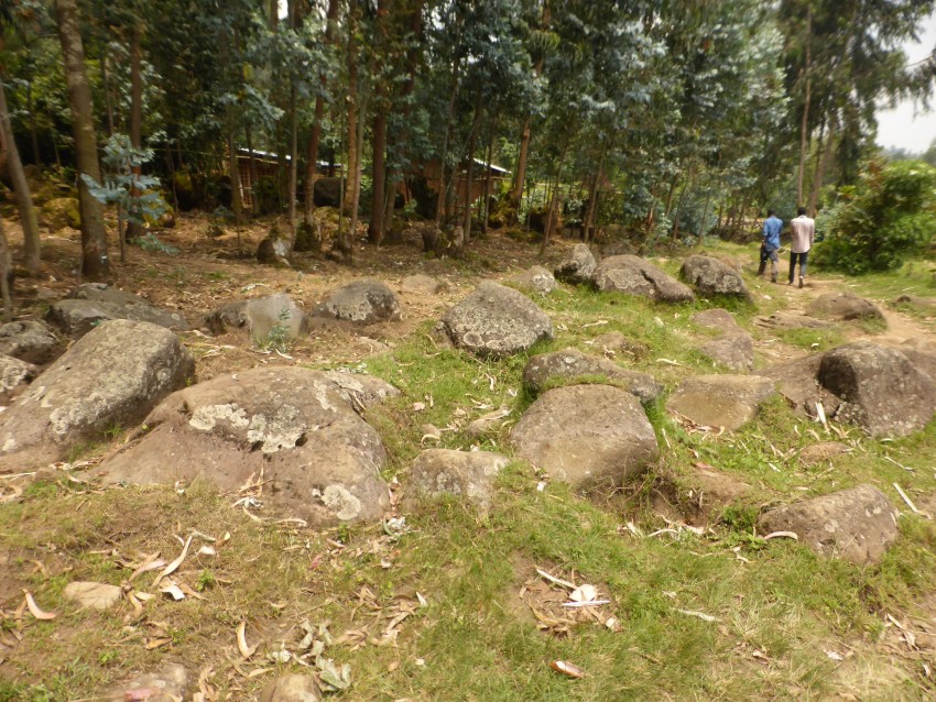 P1200529